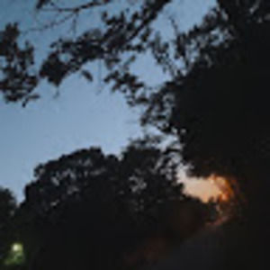 Meet your Posher, Sofia